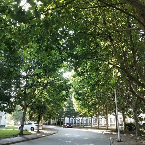 最美的遇见——国培（第五天）