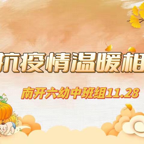 南开六幼中班组11.28