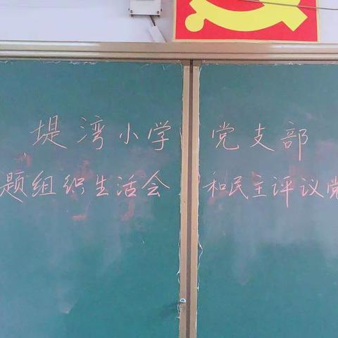 堤湾小学党支部专题组织生活会和民主评议党员情况专项报告