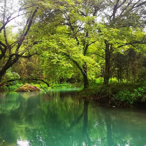 十里桂花谷，灵魂治愈地