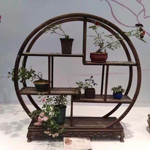 东西南北的美篇