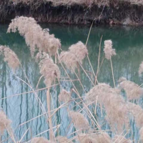 东西南北的美篇