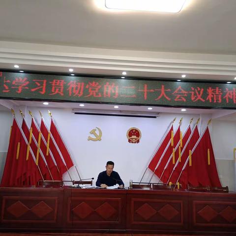 狮子镇卫生院传达学习贯彻党的二十大会议精神