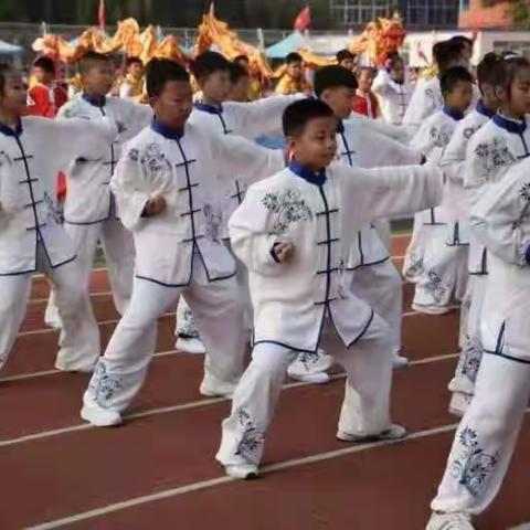 台安县逸夫小学“我爱你祖国”第四季运动嘉年华—— 五年组