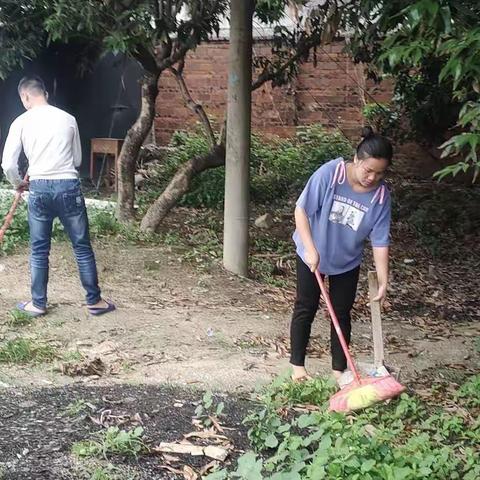 电白区霞洞镇马路头小学人居环境整治工作