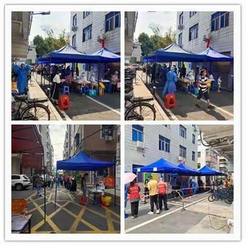 2022年3月工作总结