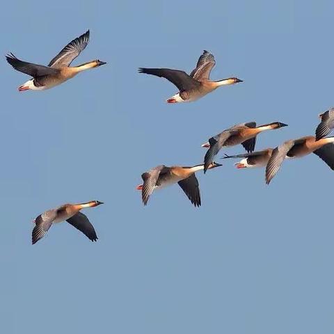 秋分至，秋意浓