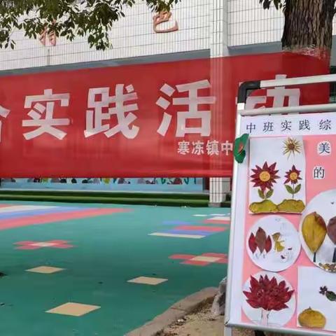 一叶一世界，一童一妙想——寒冻镇中心幼儿园中班综合实践活动《美丽的树叶》