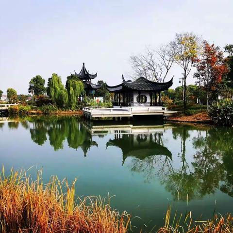 无锡旅游向东看，美丽乡村走起来。