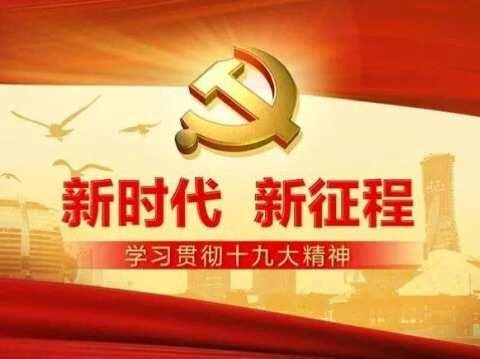 以学促做   以做践学——市二院基层党组织深入学习党的十九大精神