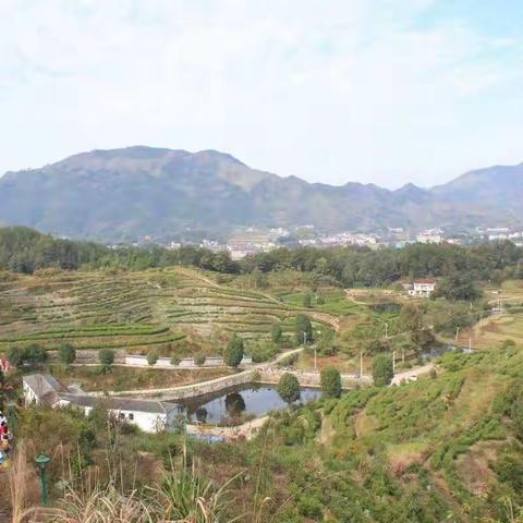 “寻找自然精灵”——檀林镇幼儿园户外远足活动