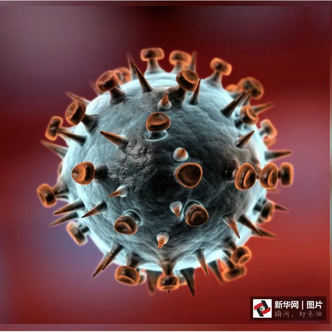 【趣享生活、悦享健康】和田幼复学亲子活动——《探寻病毒的秘密》