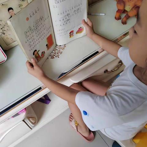 快乐暑假  幸福阅读——新兴镇岳楼小学阅读活动纪实