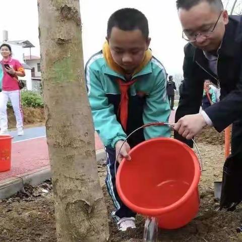 植树造林，共建绿色家园