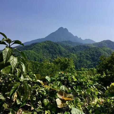 海南岛自驾游一一五指山