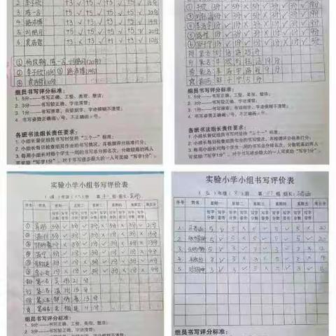 写好字，我们一直在努力！——实验小学优秀书法组长表彰