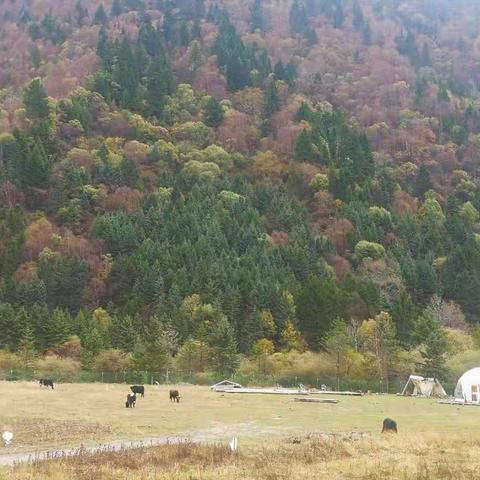 行走川西，秋天别有风光