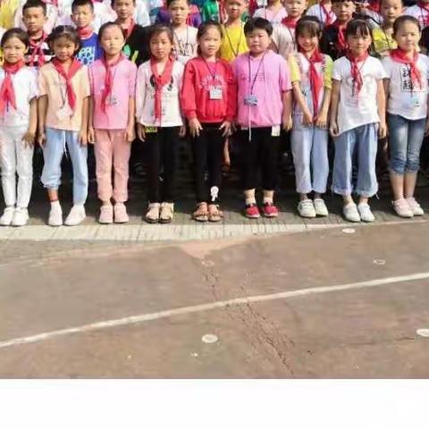 ✨在路上——湘潭县石潭镇中心小学183班小春笋中队十一月纪实