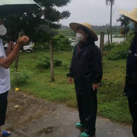 未雨绸缪，闻“风”而行——镇委书记罗杏检查指导台风“马鞍”防御工作。