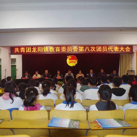 共青团龙阳镇教育委员会召开第八次团员代表大会