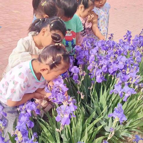 小张官幼儿园招生