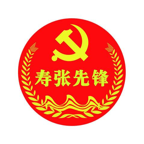 旧岁已展千重锦，新年再进百尺杆——寿张集镇召开2020年度党组织书记抓基层党建工作述职评议会议