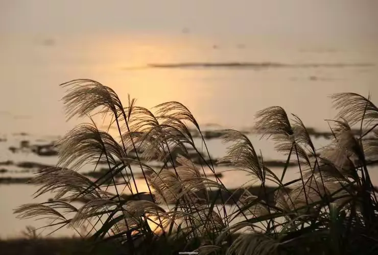 如风诗词【十二】