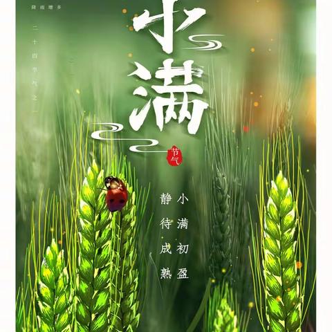 “初夏迎小满，万物皆欢欣”——温宿镇古城路幼儿园二十四节气之小满篇