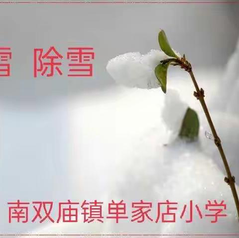 雪花随意穿帘幕，家校情暖动心房——南双庙镇单家店小学除雪活动录