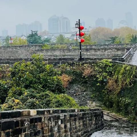 游六朝古都 南京城