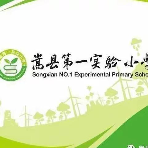 严抓细管     实中求精—— 嵩县第一实验小学教学常规精彩展示