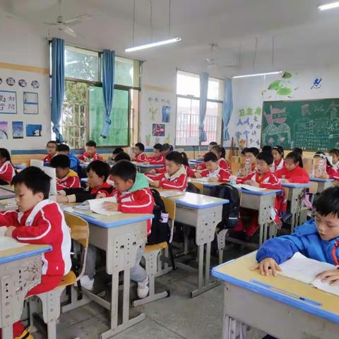 做最小的主任  浇灌最美的花儿——新手班主任工作总结
