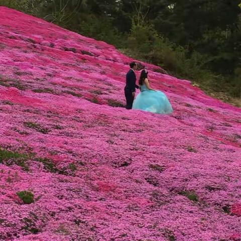少年