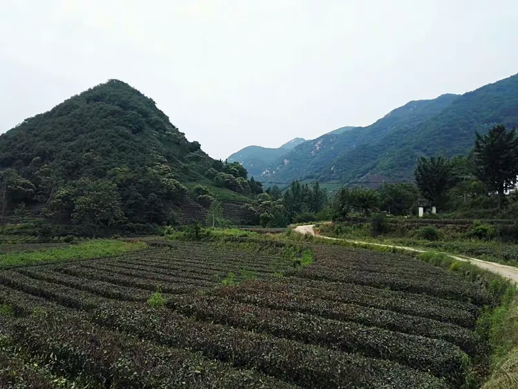 信阳吴家店太阳坡寨图片