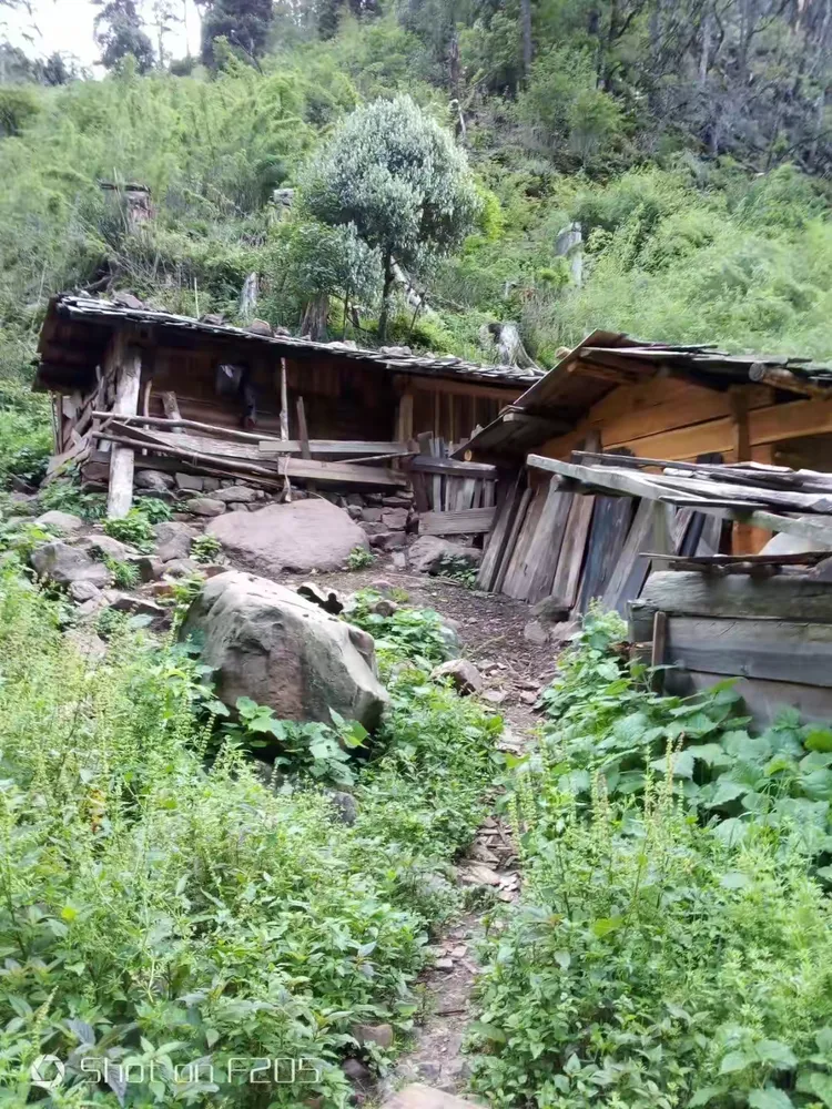 云南省丽江市玉龙县石头乡一个不能被遗忘的风景