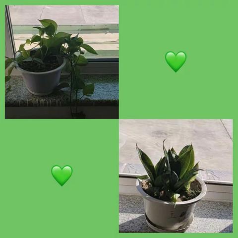 小城子中心学校“我的教室，我的家”温馨教室评比活动