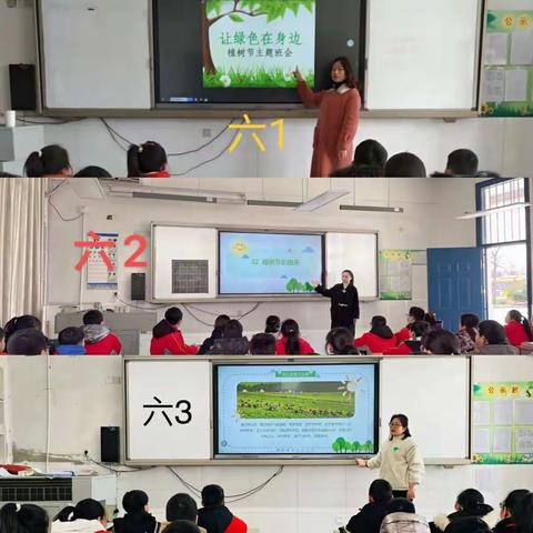 拥抱春天，呵护绿色——八滩镇中心小学六年级开展“3.12植树节”主题活动