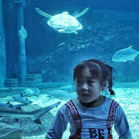 孙女亲子活动长风公园水族馆2018年10月10日拍摄