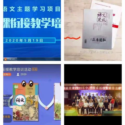 我们以盛开的姿态，迎接开学后每一天—临沂市复课衔接培训活动