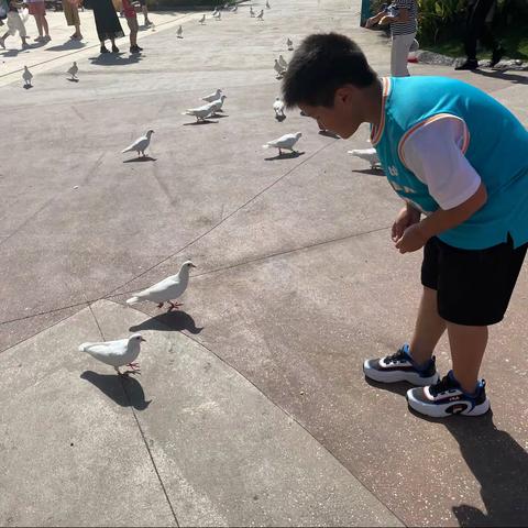 周末日记一则——如师附小四1班 陈徐铭