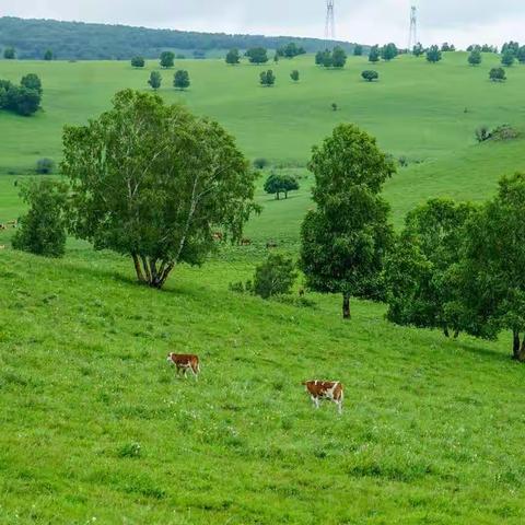 【飞向大海&草原】河北秦皇岛·承德·坝上草原游（二）