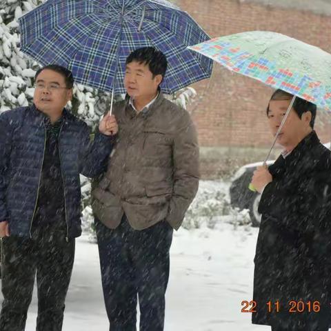 苍竹雪中挺 周户一家亲