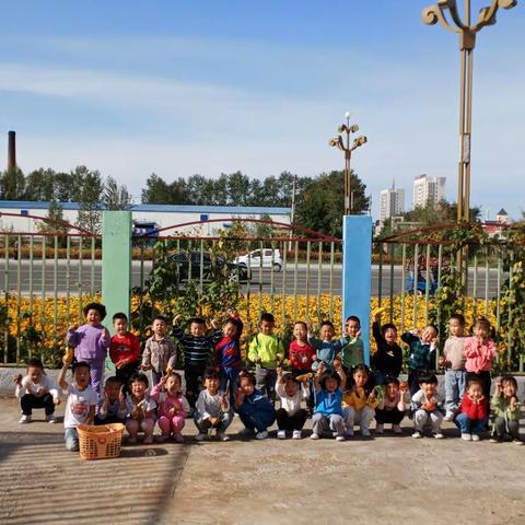 亲近自然，愉悦丰收–阿荣旗第二幼儿园维尼班一米菜园秋收主题活动