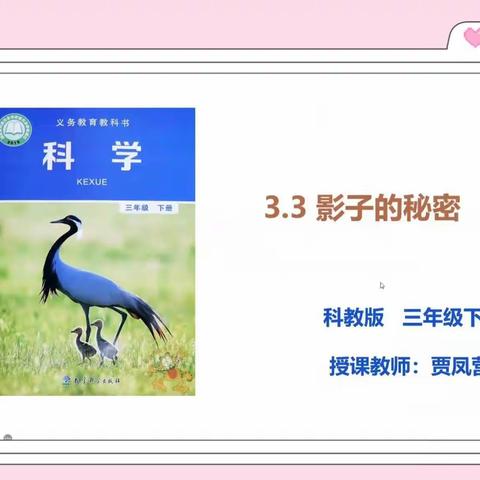 科学不止   探索不停——德惠市天台镇中心小学科学教研活动纪实