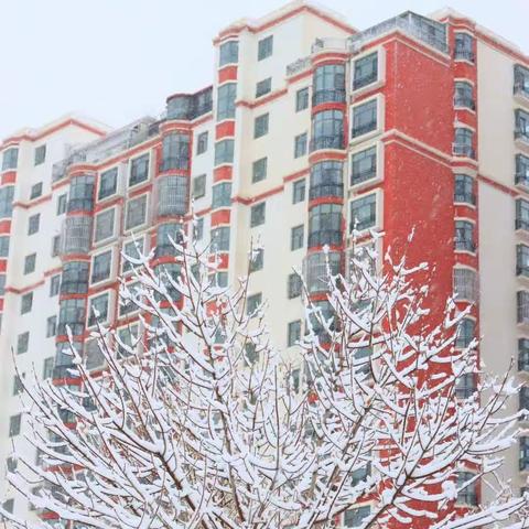 ❄️春雪❄️