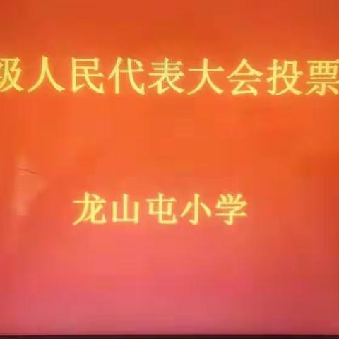 市镇两级人大代表投票点一一龙阳镇龙山屯小学