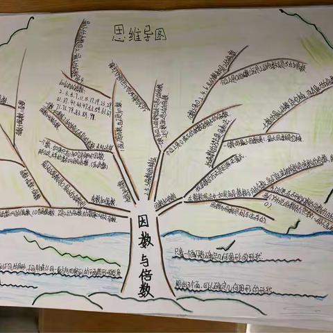 梓山中心小学五（1）班思维导图之《观察物体、因数与倍数》