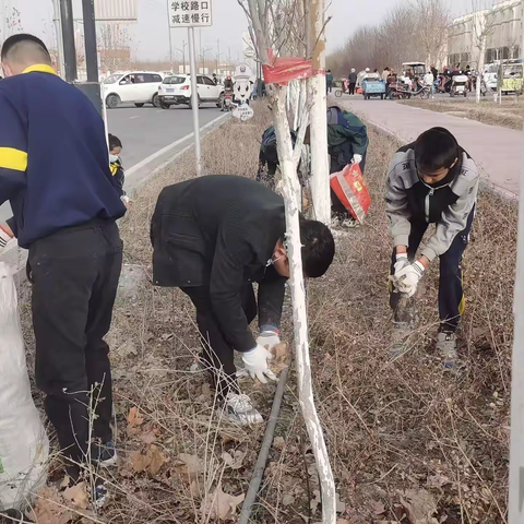 清洁家园我先行 义务劳动树先锋——四十一团学校党员践行雷锋精神  争做时代先锋主题活动