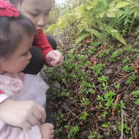 春天在哪里？                                  ——找春天