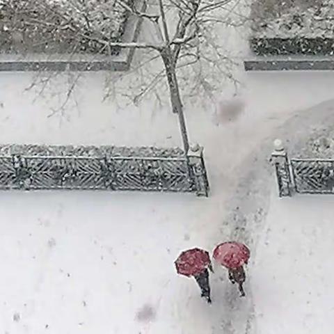 红装踏雪